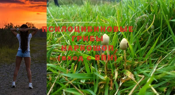 марки nbome Богородицк