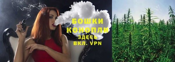 кокс Белокуриха