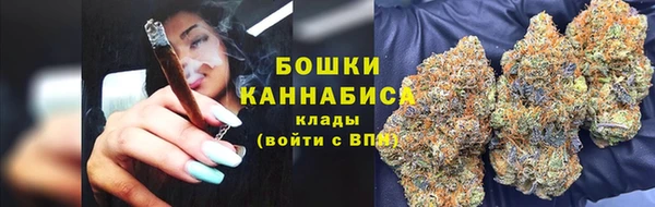 винт Богданович